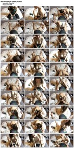 http://img250.imagetwist.com/th/35934/9o30w3dcn70c.jpg